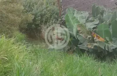 Terreno à venda na Rua José Rodrigues Cardeal, Jardim Santo Antonio, São Paulo