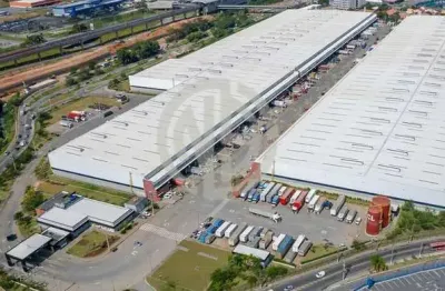 Pavilhão/galpão logístico em jardim santa vicência, guarulhos/sp