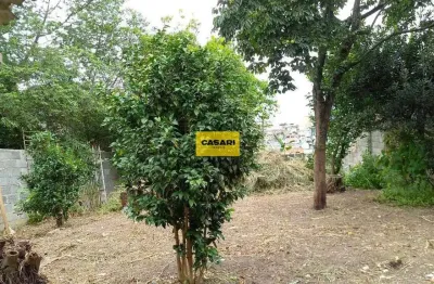 Terreno à venda na Rua Isao Sato, 76, Taboão, São Bernardo do Campo