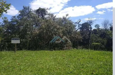 Terreno à venda, 500 m² por r$ 550.000,00 - tarumã - santana de parnaíba/sp