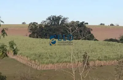 Sítio em rio claro-sp com 22.700 alqueires de pura natureza!