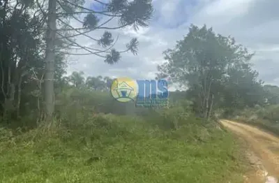 Chácara / sítio à venda na r. dr. julio szymanski, fazenda velha, araucária por r$ 450.000