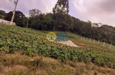 Chácara / sítio à venda na área rural, campina das pedras, araucária por r$ 350.000