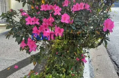 Apartamento com 2 quartos à venda na Rua Frei Vicente do Salvador, Santana, São Paulo