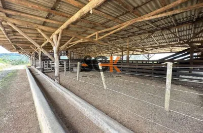 Sítio com estrutura completa para confinamento e agricultura | são joão do itaperiú