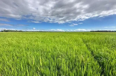 Sítio de 20,08 hectares à venda em araquari bairro santa luzia