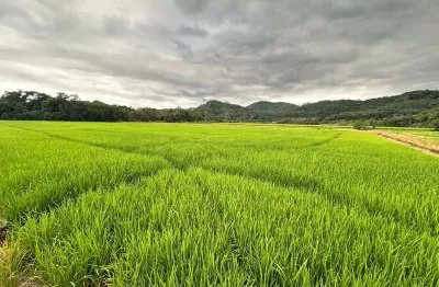 Sítio produtivo 14,8 ha | área irrigada e plana na vila nova joinville