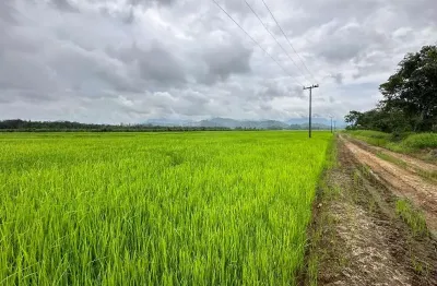 Fazenda de 44 hectares à venda em joinville-sc, vila nova: oportunidade única de investimento!