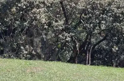 Terreno à venda na Rua Tupiniquins, Tarumã, Santana de Parnaíba
