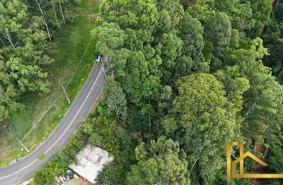 Terreno à venda na Avenida Campinas, Residencial Tamboré, Barueri