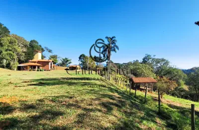 Vista deslumbrante e potencial de investimento em santo antônio do pinhal, agende sua visita!