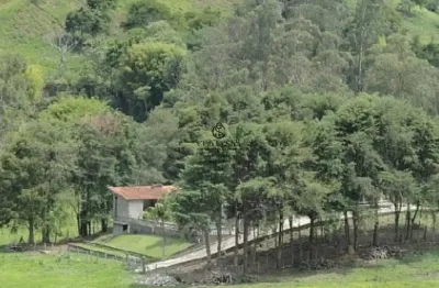 Oportunidade única: sítio com 5 lagos, casa sede, riacho e solo produtivo