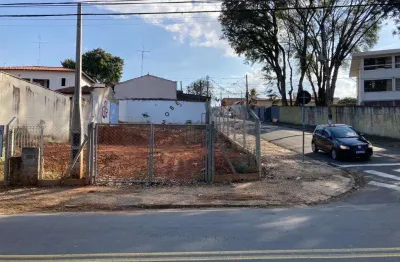 Terreno à venda e para alugar em campinas, jardim bela vista, com 342 m²