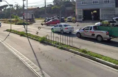 Terreno à venda e para alugar em campinas, jardim novo campos elíseos, com 3823 m²