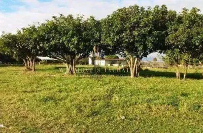 Chácara à venda, 94000 m² por r$ 2.800.000 - tremembé/sp