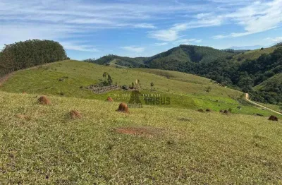 Área à venda, 55000 m² por r$ 350.000,00 - monte belo - taubaté/sp