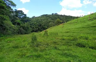Sítio com excelente localização 1016400 m² por r$ 2.000.000 - granjas rurais reunidas são judas tadeu - taubaté/sp