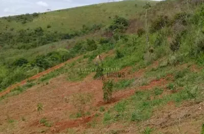 Chácara à venda, 20000 m² por r$ 350.000,00 - mandú - pindamonhangaba/sp