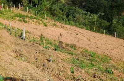 Chácara à venda, 20000 m² por r$ 350.000,00 - mandú - pindamonhangaba/sp