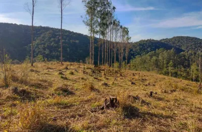Chácara / sítio à venda no Pouso Frio, Taubaté 