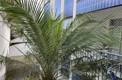 Apartamento com 3 quartos à venda em belo horizonte
