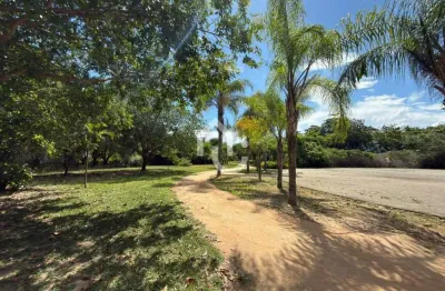 Apartamento com 5 quartos à venda na Rua Coronel Aviador Antônio Arthur Braga, Barra da Tijuca, Rio de Janeiro, 227 m2 por R$ 2.650.000