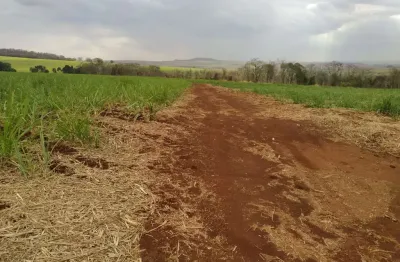 Sitio para venda em igarapava-sp, com 61 alqueires sendo 33 alqueires em cana, terra de cultura, córrego na propriedade, proximo de usinas
