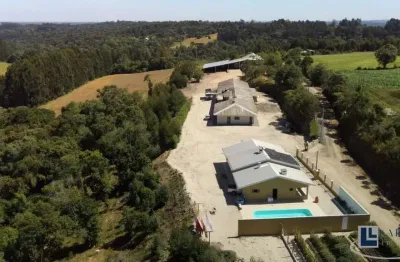 Frigorifico para venda na região de palmeira-pr, área total 5 hectares, estrutura completa do frigorifico mais casa sede alto padrão