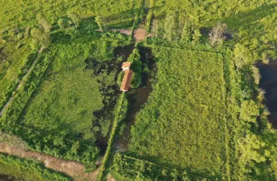 Linda fazenda para venda em corumba-ms, com 1.620 hectares em pastagem, rio na propriedade, muitas benfeitorias