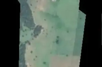 Fazenda para venda na região de tanabi-sp, com 45 alqueires todo em pasto, 3 casas boas, curral, poço artesiano e córrego na propriedade