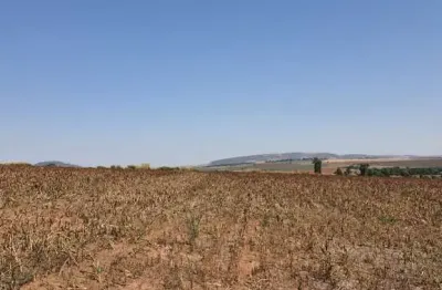 Sitio para venda na região de santa cruz das palmeiras-sp, com 20 alqueires, área livre, já plantou soja, aproveita 85% para plantio