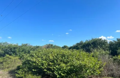 Oportunidade. fazenda para venda na região de avelino lopes-pi com 8.900 hectares, fora do parque, ideal para reserva e frutas como caju e etc