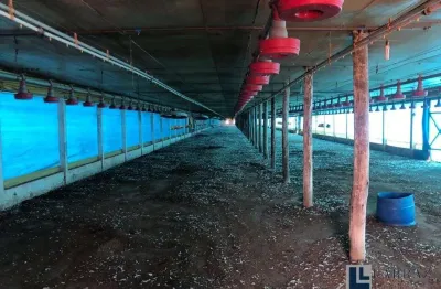 Sitio para venda na região de jau-sp com 7,2 alqueires, granja para 40 mil frangos e pastagem para pecuária, benfeitorias