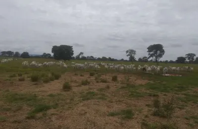 Fazenda para venda na região de planaltina-go com 4.600 hectares sendo 3.500 hectares em pastagem, rio na propriedade, muitas benfeitorias e semovente