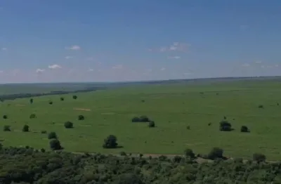Fazenda para venda na região de rosana-sp com 660 alqueires sendo 490 alqueires em cana mais pastagem, beira do rio e benfeitorias