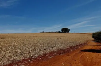 Fazenda para venda na região de franca-sp com 430 alqueires sendo 320 alqueires em cana arrendada, pode plantar soja, boa de agua