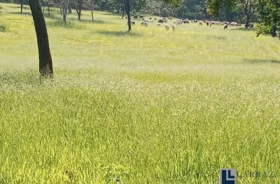 Sitio para venda na região de ribeirão preto-sp com 23,85 alqueires, pecuária, mandioca e granja, porteira fechada, semoventes, veículos e ferramentas