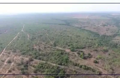 Fazenda dupla aptidão para venda na região de alvorada do norte-go com 167 hectares, plana, boa de agua, sede pequena, energia