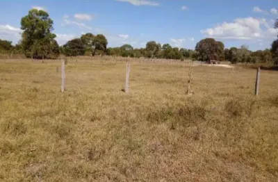 Fazenda para pecuária a venda na região de nova nazare-mt com 9.500 hectares em pastagem para 2.400 cabeças, beira do rio ararguaia, benfeitorias