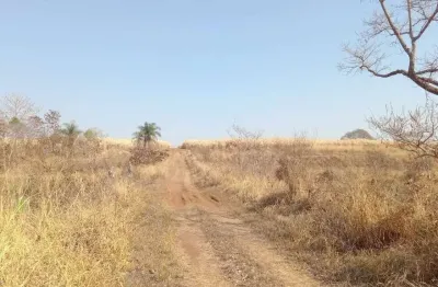 Fazenda para venda na região de barretos-sp, com 131 alqueires, pode plantar 90 alqueires em cana arrendada, divisa com rio