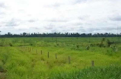 Fazenda grande extensão a venda na região de aripuana-mt com 141.000 hectares sendo 13.000 hectares em pastagem, rica em agua e benfeitorias