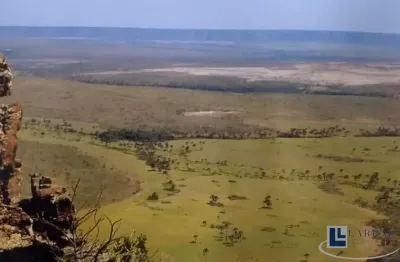 Oportunidade, apenas r$ 2.466,00 / hectare. fazenda para venda na região de dianopolis-to com 2.000 hectares, aptidão para lavoura, rica em agua