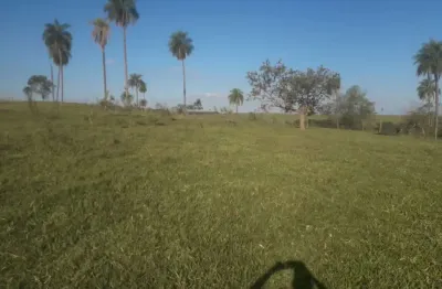 Fazenda para venda na região de tupa-sp com 172 alqueires sendo 145 alqueires para lavoura, pode ser cana, rio na divisa