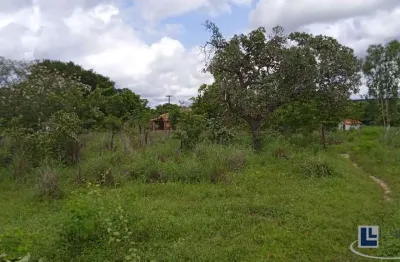 Sitio dupla aptidão para venda em floriano-pi com 70,5 hectares, atual na pecuária, terra boa para lavoura, beira do asfalto, benfeitorias, agua