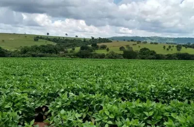 Fazenda para venda na região de cafelandia-sp com 120 alqueires sendo 100 alqueires em soja arrendada, rio na divisa