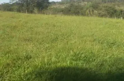 Sitio para venda em barretos-sp com 3 alqueires em pastagem, benfeitorias e córrego na propriedade