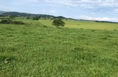 Fazenda para venda na região de marilia-sp com 225 alqueires montada na pecuária, beira da rodovia