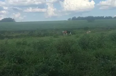 Fazenda dupla aptidão para venda na região de fernandopolis-sp com 94 alqueires sendo 74 alqueires agricultáveis, rica em agua e muitas benfeitorias