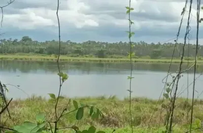 Fazenda para venda na regiao manoel emidio-pi com 1.650 hectares, fazenda bruta, sem área consolidada