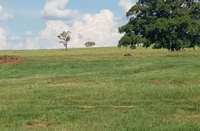 Fazenda dupla aptidão para venda na região de jales-sp com 205 alqueires sendo 143 alqueires em cana arrendada mais pastagem, benfeitorias, beira de r